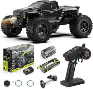 3. RIAARIO 1:10 Brushless RC Car