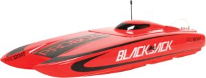4. Pro Boat RC Blackjack 24" Brushless Catamaran