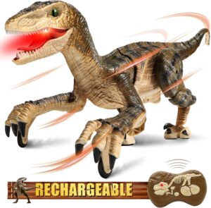 1. Hot Bee Remote Control Robot Dinosaur Toy