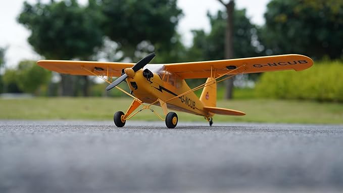 Price Range for Large RC Planes