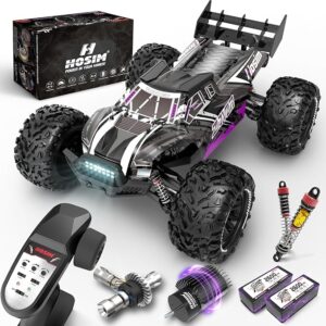 3. Hosim 1/10 Brushless Fast RC Car